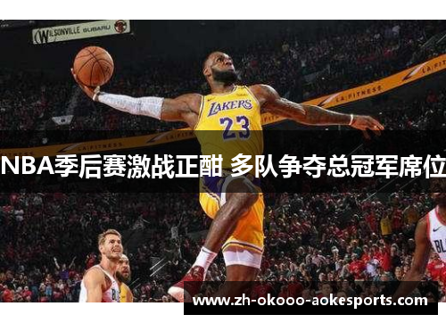 NBA季后赛激战正酣 多队争夺总冠军席位